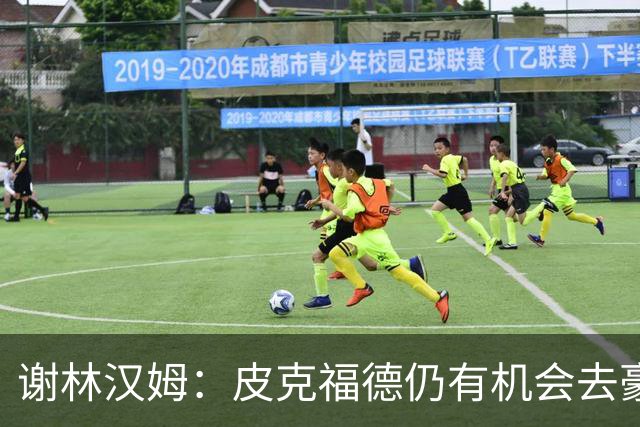 谢林汉姆：皮克福德仍有机会去豪门 他符合切尔西的引援标准