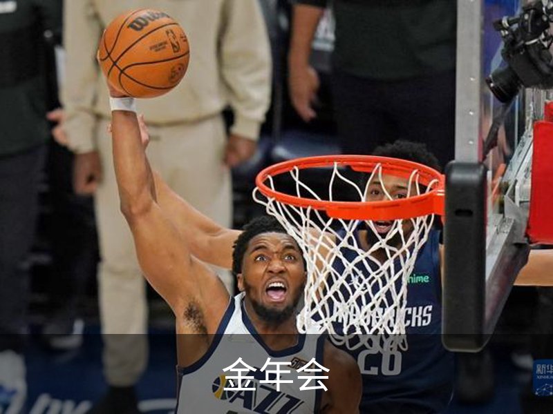 了解金年会